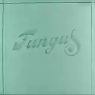 Fungus: Fungus