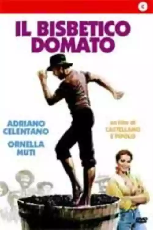 Cover di Il Bisbetico Domato