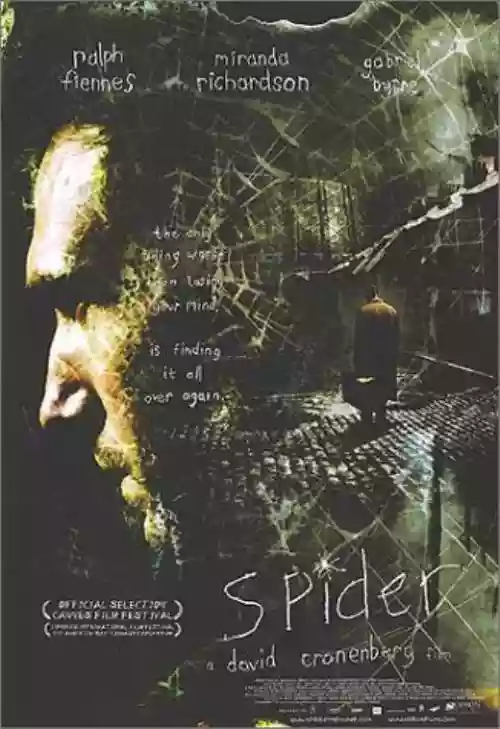 Cover di Spider