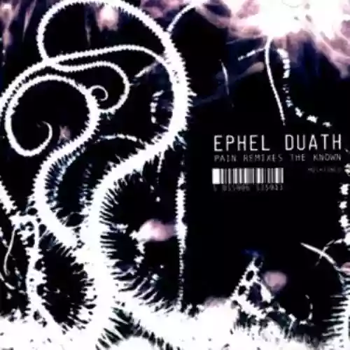 Cover di Pain Remixes the Known