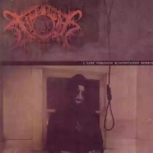 Cover di A Gate Through Bloodstained Mirrors