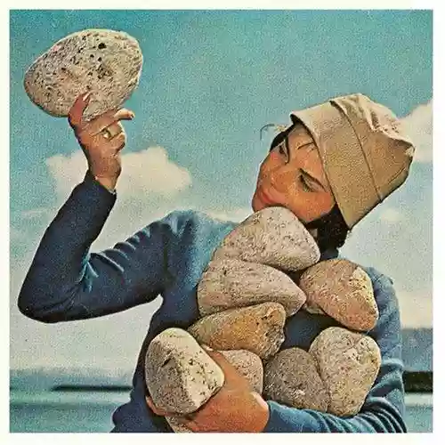 Cover di Peebles
