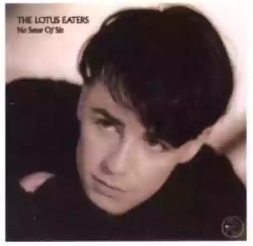 Cover The Lotus Eaters - No Sense Of Sin