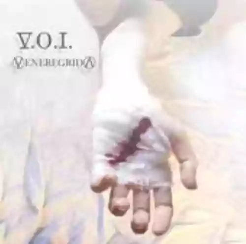 Cover di V.O.I.
