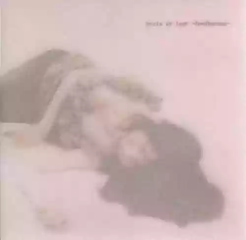 Cover di Boris At Last -Feedbacker-