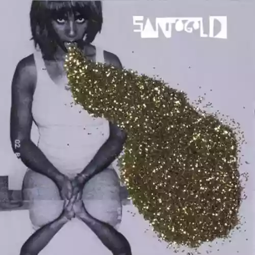 Cover Santogold - Santogold