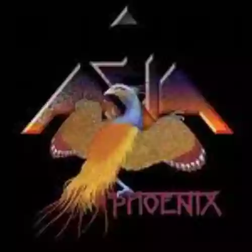 Cover di Phoenix