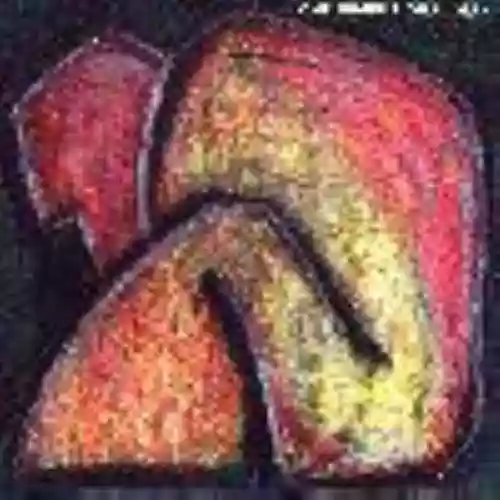 Cover di One Dimensional Man