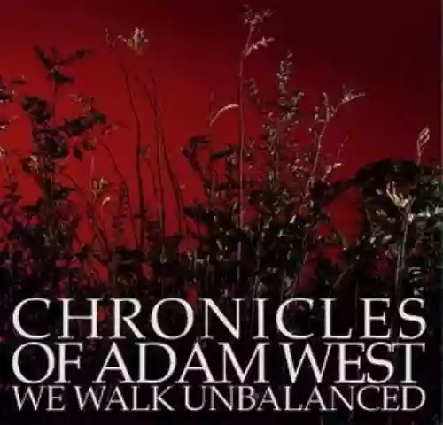 Cover di We Walk Unbalanced