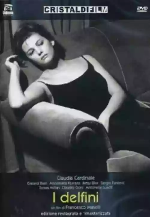 Cover di I delfini
