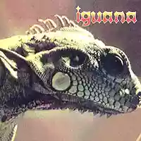Copertina di Iguana Iguana
