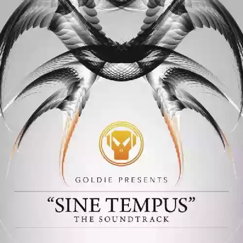 Cover di Sine Tempus