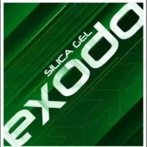 Cover di Exodo