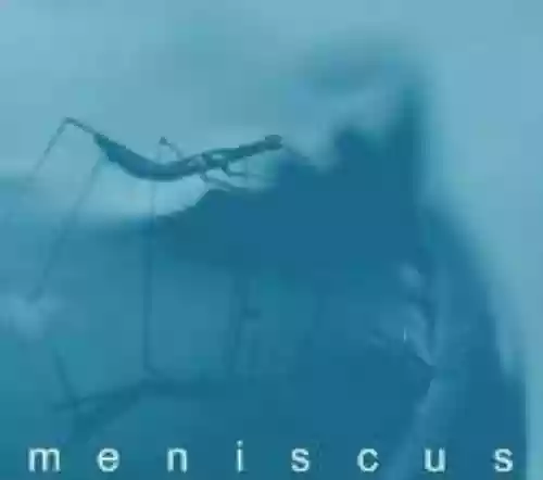 Cover Meniscus - Absence of I