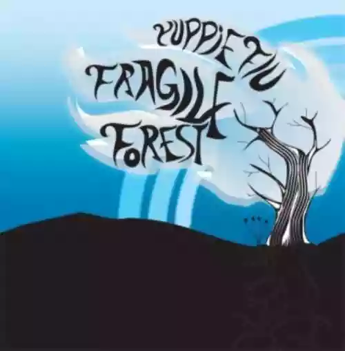 Cover di Fragile Forest