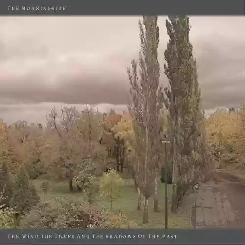 Cover di The Wind, the Trees and the Shadows of the Past