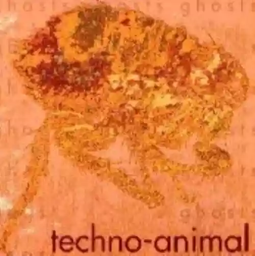 Cover di Ghosts