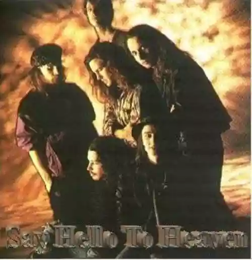 Cover Temple of the Dog - Say Hello To Heaven