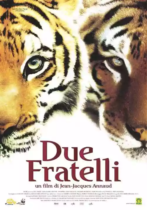 Cover di Due Fratelli
