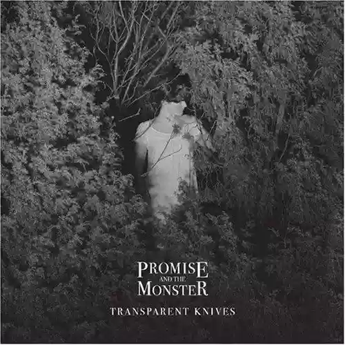 Cover di Transparent Knives