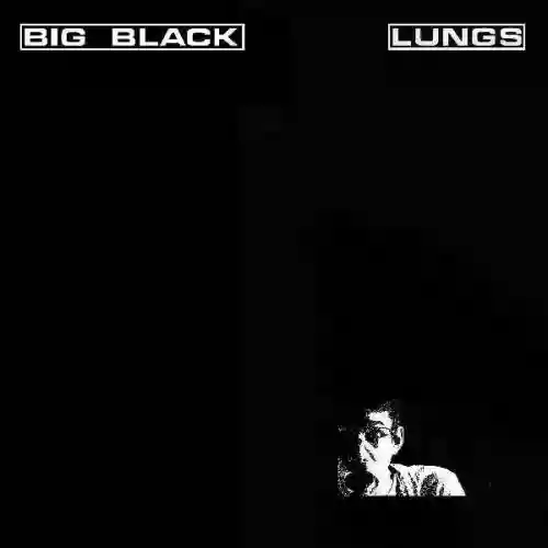 Cover di Lungs