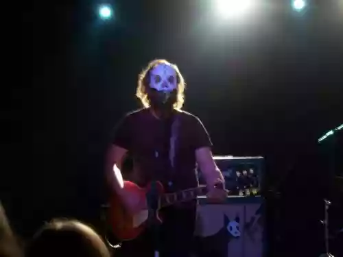 Cover di Il sogno del gorilla bianco