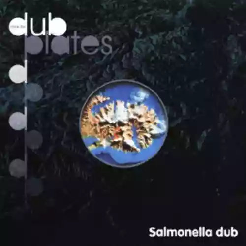 Cover di Inside the Dub Plates