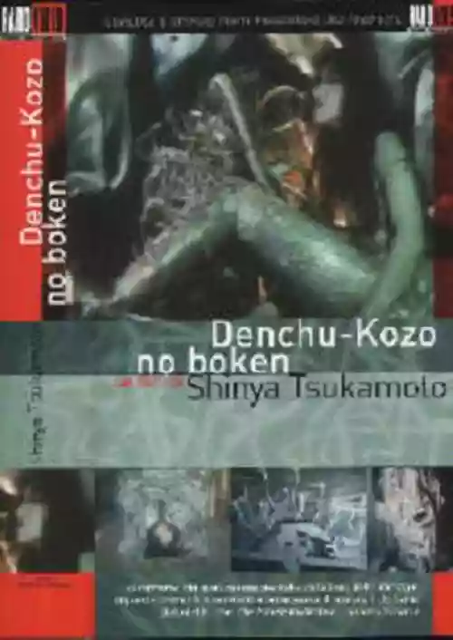 Cover di Le Avventure Del Ragazzo Del Palo Elettrico