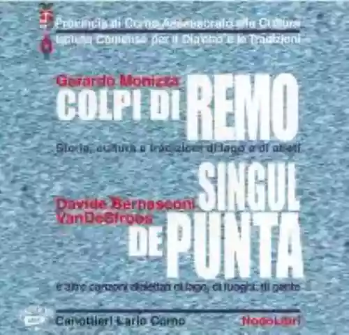 Cover di Singul De Punta