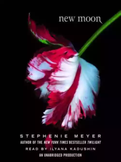 Cover di New Moon