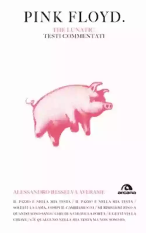 Cover di Pink Floyd. The Lunatic.