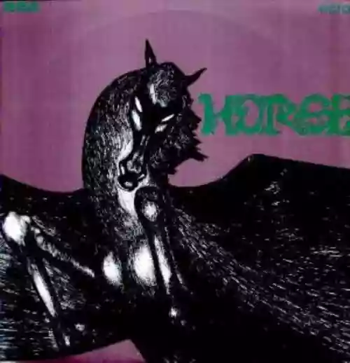 Cover Horse - Horse