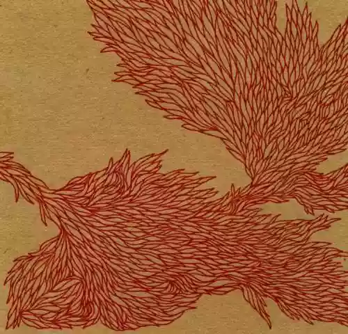 Cover di Eutheria