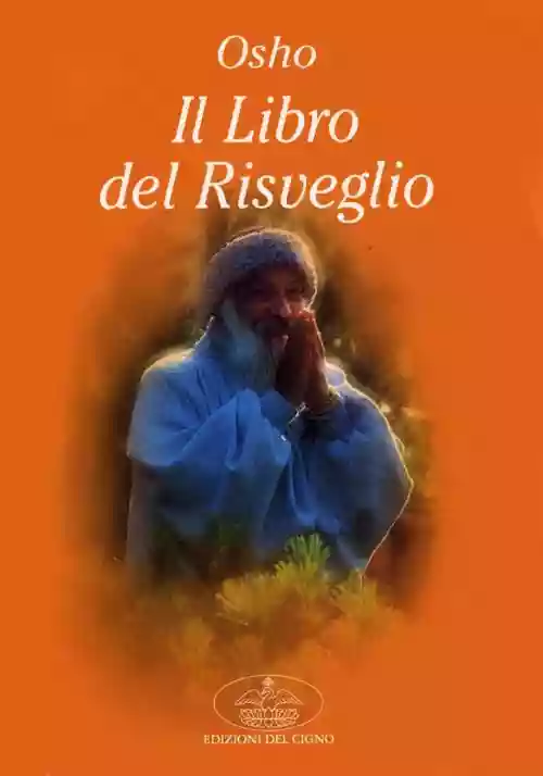 Cover di Il Libro del Risveglio