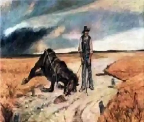 Cover di Cavallo Morto