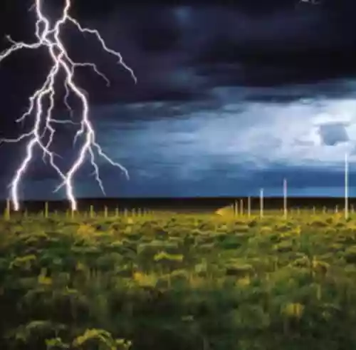 Cover di The Lighting Field