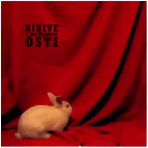 Cover di Osti