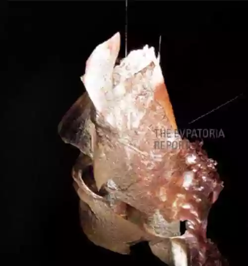 Cover di Golevka
