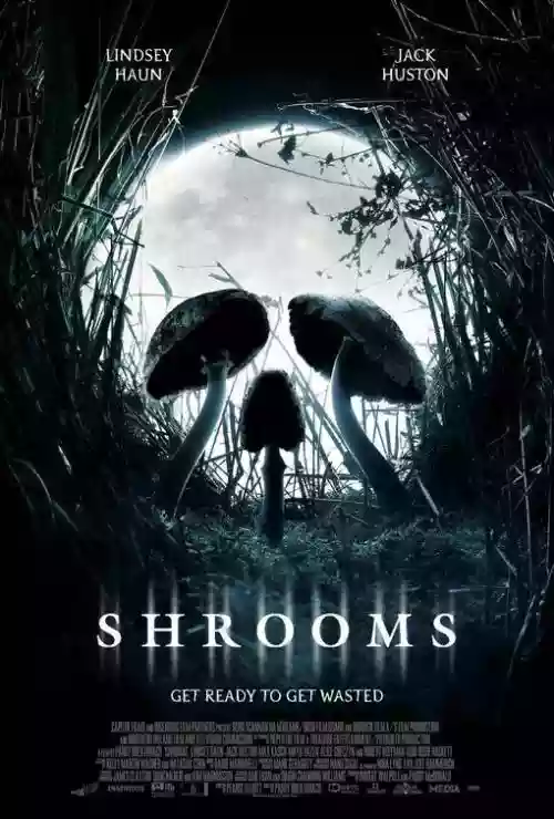 Cover di Shrooms