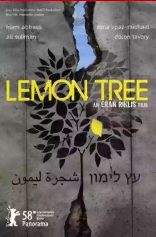 Cover di Lemon Tree