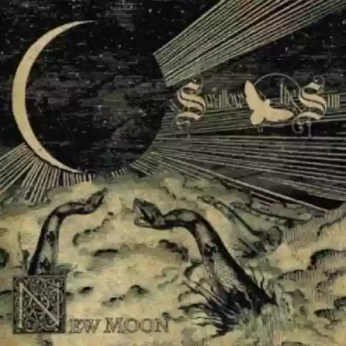 Cover di New Moon