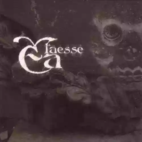 Cover di Taesse