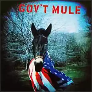 Copertina di Gov't Mule Gov't Mule