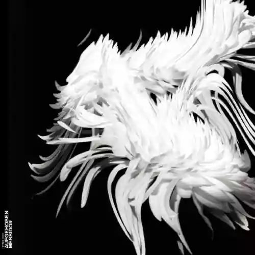 Cover di Messidor
