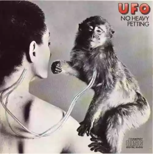 Cover di No Heavy Petting