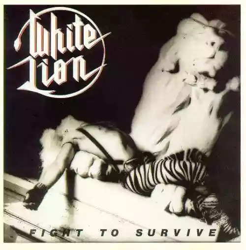 Cover di Fight To Survive