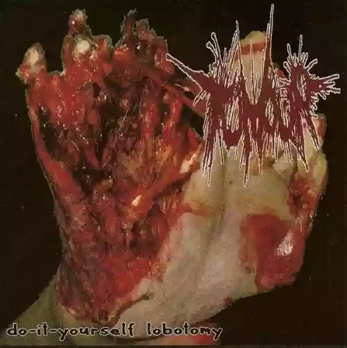 Cover di Do-It-Yourself Lobotomy/The Daily Drop - Split