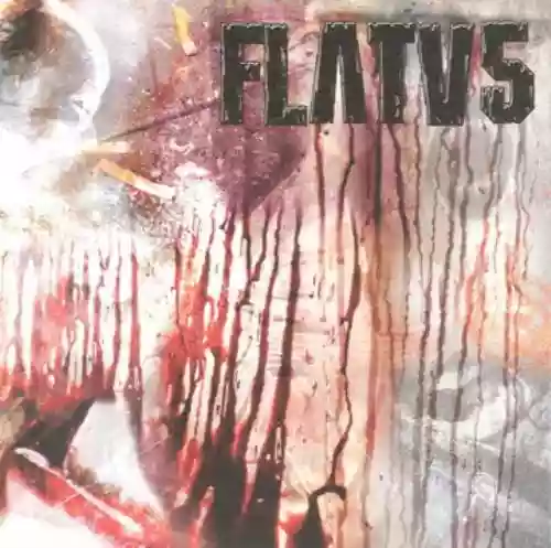 Cover di Czech V.S. Dutch Goregrind - Split