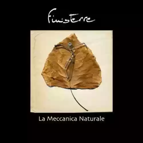 Cover di La meccanica naturale