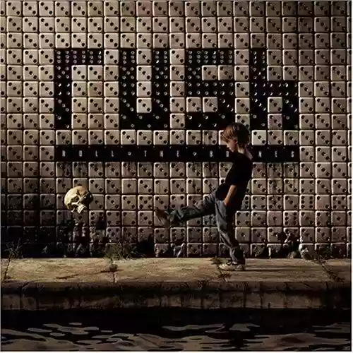Cover di Roll the Bones